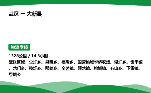 武汉至大新县货运公司_武汉到大新县物流_武汉至大新县物流专线