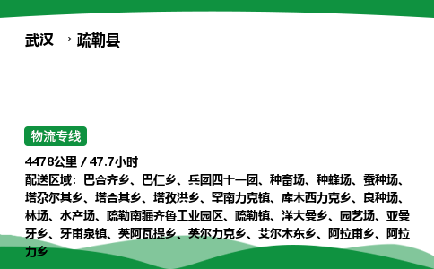 武汉至疏勒县货运公司_武汉到疏勒县物流_武汉至疏勒县物流专线